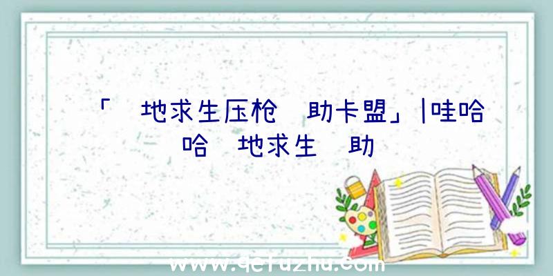 「绝地求生压枪辅助卡盟」|哇哈哈绝地求生辅助